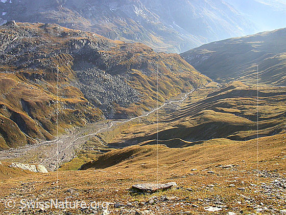 Foto: Gebiet Strahlgrät: Blick auf die Turbealp und den Ausläufer des Mittlenbärg.