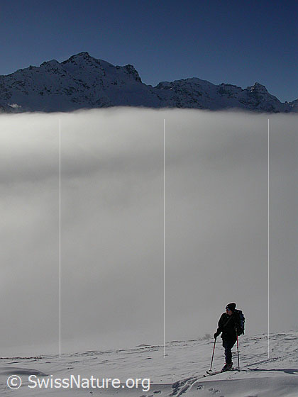Foto: Im Aufstieg zum Gandhorn: Blick zum Schwarzhorn. Nebelmeer über dem Binntal.