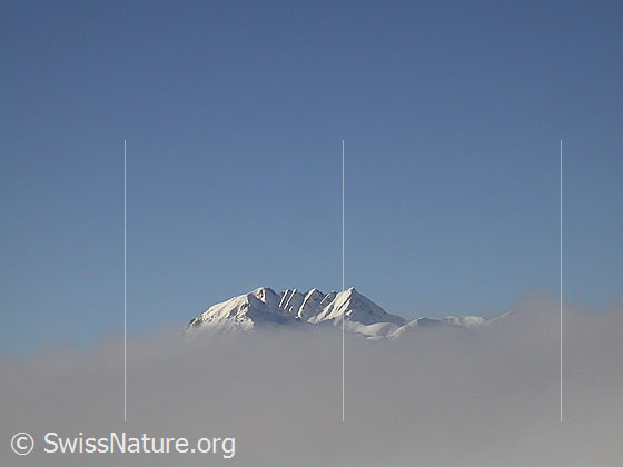 Foto: Im Aufstieg zum Gandhorn: Blick zum Bättlihorn. Nebelmeer über dem Binntal.
