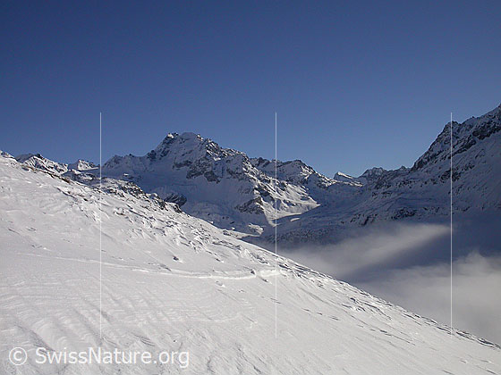 Foto: Im Aufstieg zum Gandhorn: Blick zum Ofenhorn. Rechts ist das Nebelmeer über dem Binntal zu sehen.