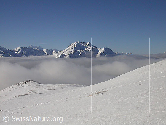 Foto: Im Aufstieg zum Gandhorn: Blick zu Bättlihorn und Breithorn. Über dem Binntal liegt ein Nebelmeer. Im Hintergund ist das Weisshorn zu sehen.