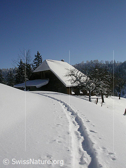 Foto: Hütte in Winterlandschaft mit Spur (Schneeschuh) im Vordergrund