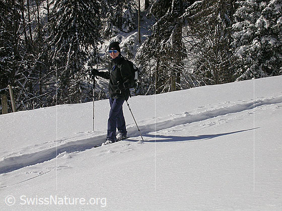 Foto: Schneeschuhläuferin unterwegs in verschneiter Winterlandschaft entlang eines Waldrandes.