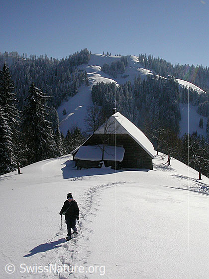 Foto: Schneeschuläuferin in Winterlandschaft mit Hütte.