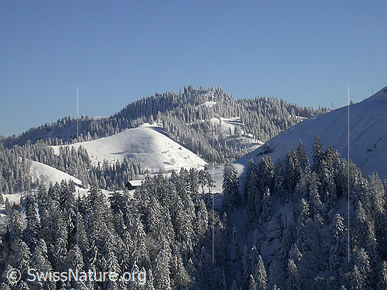 Foto: Winterlandschaft mit tief verschneiten Wäldern. Im Hintergund das Höchänzi.