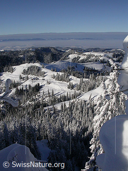 Foto: Blick vom Farnliesel über die tief verschneiten Emmentaler Hügellandschaft.