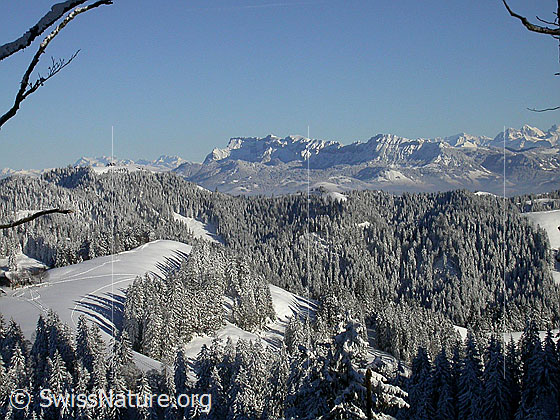 Foto: Blick vom Farnliesel über die tief verschneiten Emmentaler Hügellandschaft (Lushütte) Richtung Innerschweiz (Pilatus).