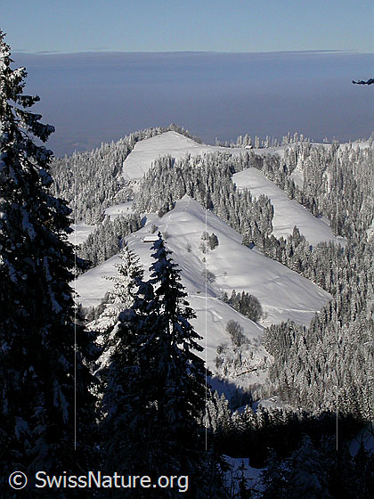 Foto: Blick vom Farnliesel über die tief verschneiten Emmentaler Hügellandschaft (Krete der Obere Scheidegg) Richtung Mittelland, über welchem ein Nebelmeer liegt.