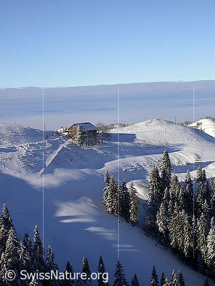 Foto: Winterliche Landschaft mit Bauernhof Farnli auf Emmentaler Krete. Nebelmeer über dem Mittelland.