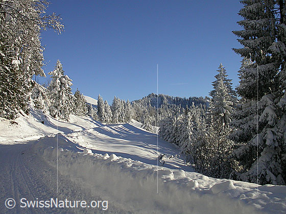 Foto: Winterlandschaft bei Hinterarni. Im Hintergrund der Farnliesel.