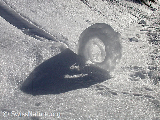 Foto: Natürliche Kunst aus Schnee am Wegrand.