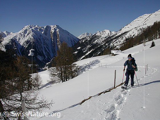 Foto: Schneeschuhläuferin bei Hanschbiel. Im Hintergrund das Breithorn.