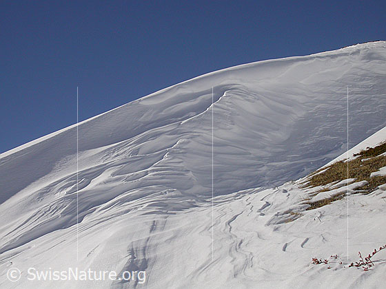Foto: Interessant geformte Wächte/Schneeverwehung.