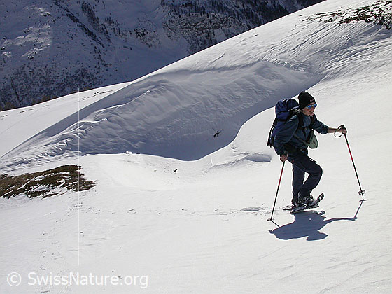 Foto: Schneeschuläuferin im Aufstieg zum Gandhorn. Im Hintergrund interessant geformte Wächte/Schneeverwehung.
