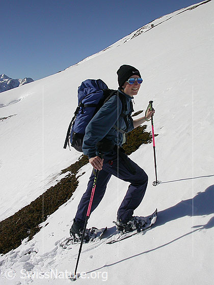 Foto: Schneeschuläuferin im Aufstieg zum Gandhorn.