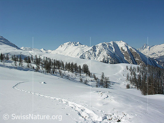 Foto: Blick von Mälche über den Hockbode zu Bättlihorn und Breithorn.