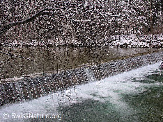 Foto: Schwelle in der Emme
