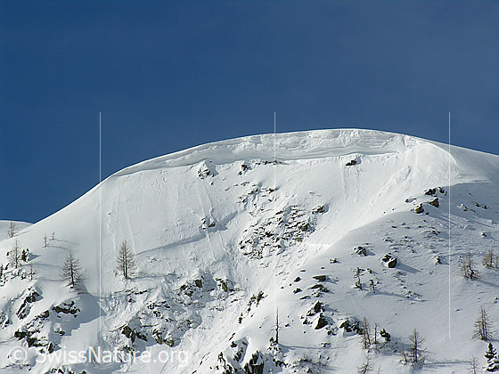 Foto: Grosse Wächte