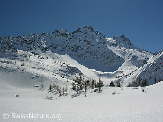 Foto: Winterlandschaft mit Lärchen, zugeschneitem Mässersee und Schwarzhorn.