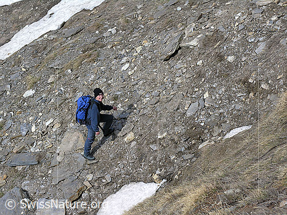 Foto: Unterwegs auf Strahlertour