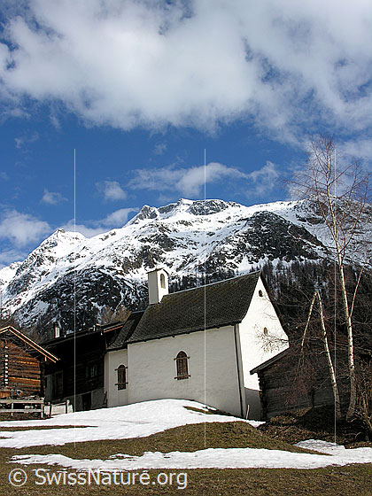 Foto: Imfeld. Im Hintergrund das Untere Schinhorn.
