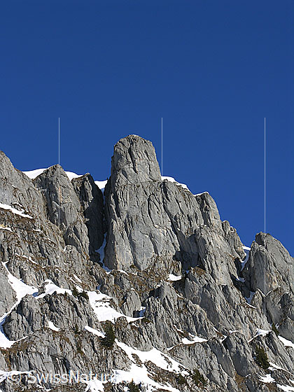 Foto: Im Aufstieg zum Ankestock. Blick zu den Felstürmen am Fromattgrat.