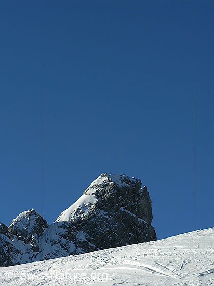 Foto: Im Aufstieg zum Ankestock. Blick zum Gipfel der Hinderi Spillgerte.