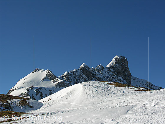 Foto: Im Aufstieg zum Ankestock. Blick zur Hinderi Spillgerte.