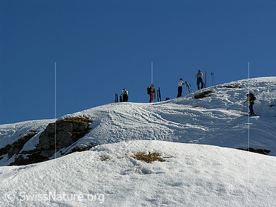 Foto: Ankunft einer Gruppe Skitourenfahrer auf dem Gipfel des Ankestocks.