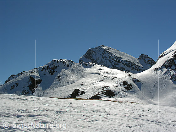 Foto: Ankestock und Rothorn im Winter.
