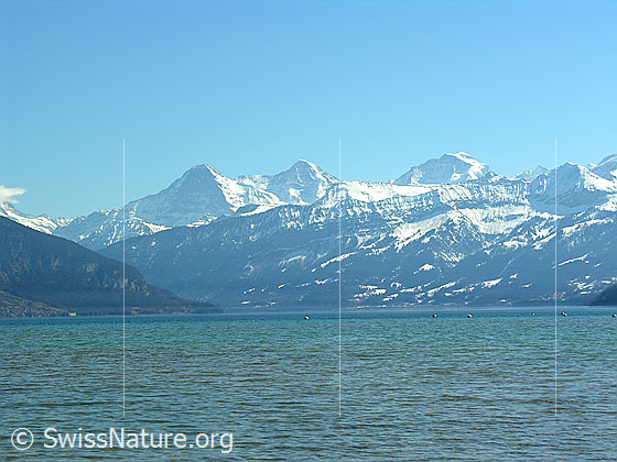 Foto: Blick über den Thunersee Richtung Berner Alpen mit Eiger, Mönch und Jungfrau.