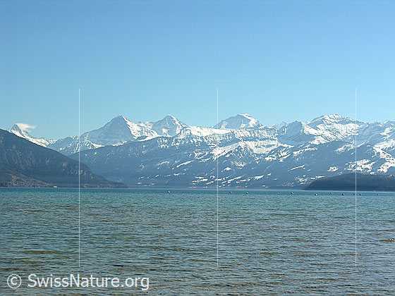 Foto: Blick über den Thunersee Richtung Berner Alpen mit Eiger, Mönch und Jungfrau.