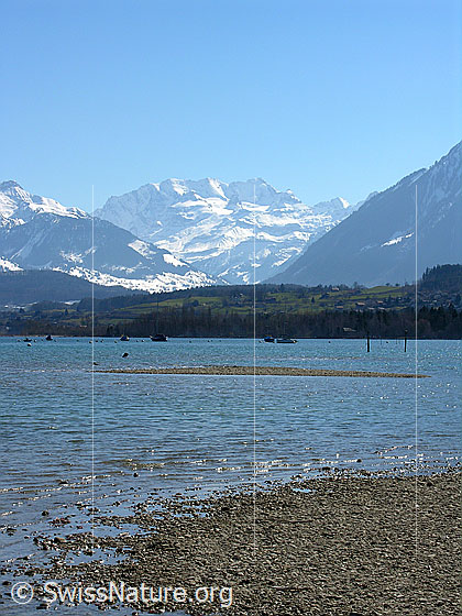 Foto: Blick über den Thunersee Richtung Blüemlisalp.
