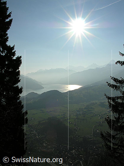 Foto: Blick von der Simmenflue über Wimmis auf den Thunersee und zu den Berner Alpen.