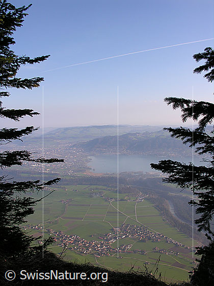 Foto: Blick von der Simmenflue auf Reutigen, Thun und den Thunersee.