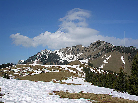 Foto: Blick Richtung Obers Heiti und Heitihubel.
Im Hintergrund: Bremeflue, Lasenberg und Nüschleten.
