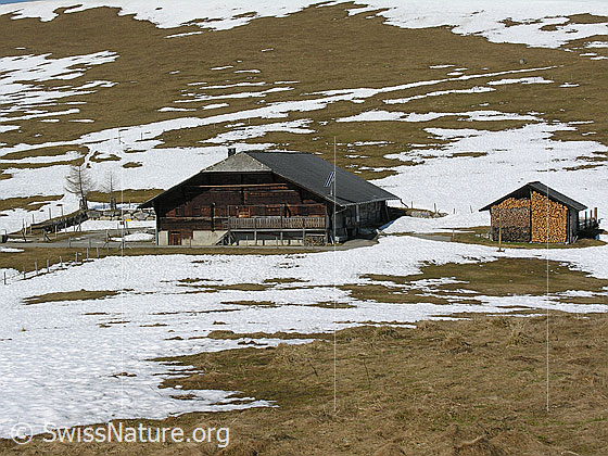 Foto: Alp Obers Heiti (Alphütte)