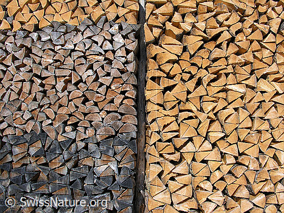 Foto: Gespaltenes und aufgeschichtetes Holz