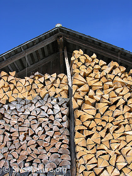 Foto: Gespaltenes und aufgeschichtetes Holz.