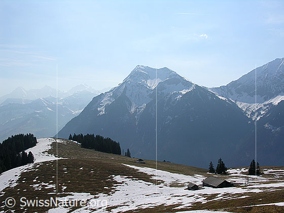 Foto: Blick vom Heitihubel über den Üssere Heitihubel zum Niesen. Im Hintergrund sind die Konturen von Eiger, Mönch und Jungfrau sichtbar.