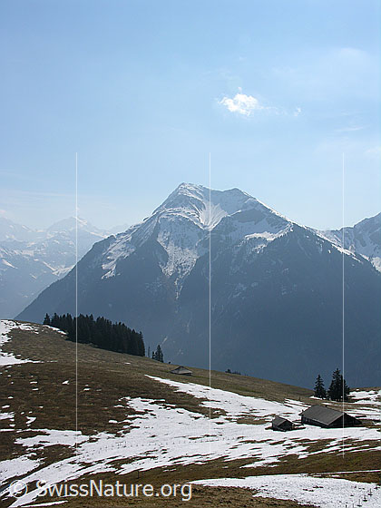 Foto: Blick vom Heitihubel über den Üssere Heitihubel zum Niesen. Im Hintergrund sind die Konturen der Jungfrau sichtbar.