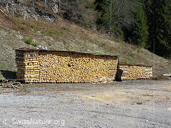 Foto: Gespaltenes und sauber aufgeschichtetes Holz.