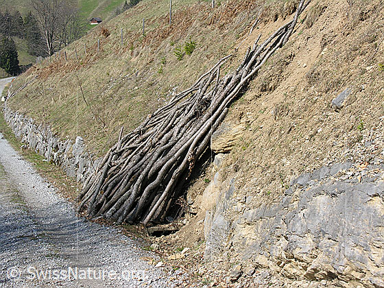 Foto: Aufgeschichtete Holzäste am Wegrand.
