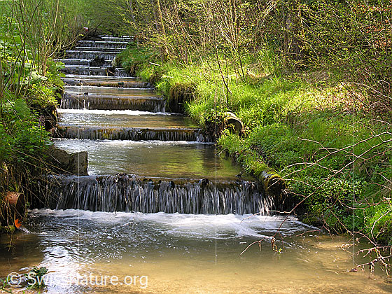 Foto: Lochbächli: Sanft verbauter Bach im Emmental.