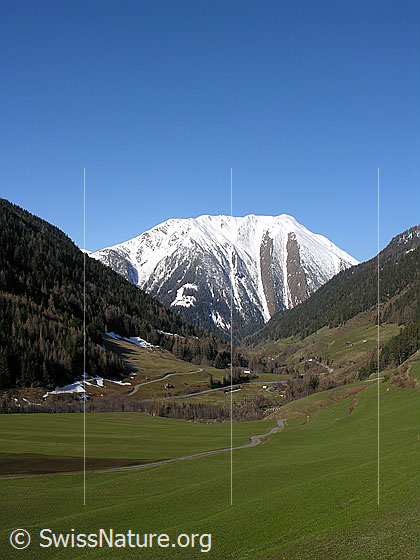 Foto: Grünes Binntal mit weissem Breithorn und blauem Himmel.