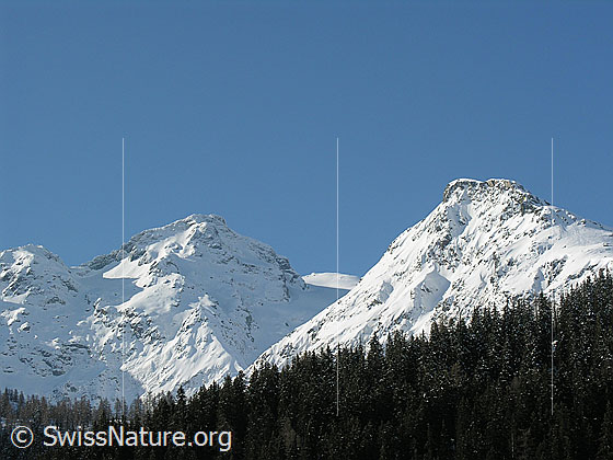 Foto: Schwarzhorn und Stockhorn in frischem Weiss.