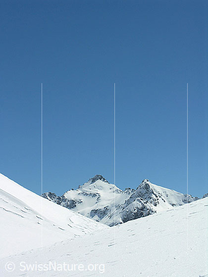 Foto: Blick vom Gandhorn zum Albrunhorn