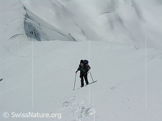 Foto: Schneeschuhläuferin im Aufstieg zum Holzerspitz.