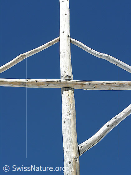 Foto: Gipfelkreuz auf dem Holzerspitz. Ausschnitt