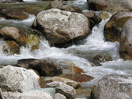 Foto: Klares, sprudelndes Wasser in Bergbach (Binna). Felsblöcke.